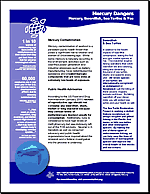 Mercury Dangers: Mercury, Swordfish, Sea Turtles & You