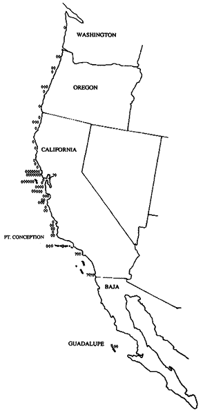 Locations of confirmed unprovoked attacks by white sharks, 1926-1993. (From McCosker and Lea, 1996)