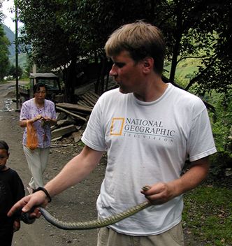 Academy Herpetologist Joe Slowinski  collects his first snake of the 2000 China trip - a spitting cobra
