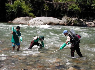 Ichthyologists Dave Catina (left) wearing an elctroshocker and Chen Ziming and Chen Xiaotong with nets, look for fish in a stream along the Nujiang Valley.