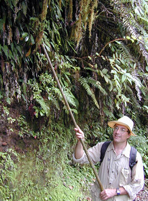 Peter Fritsch points out rare plants clinging to the trail bank at 2300 meters