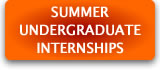 Summer Undergaduate Internships