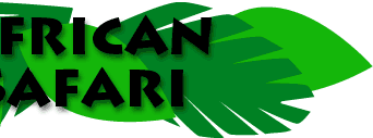 African Safari