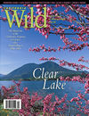 cover spring 2004