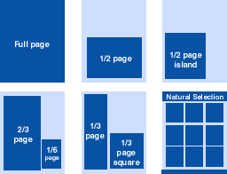 Size of advertizements