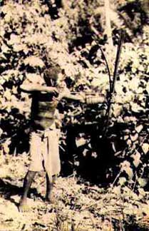 Solomon hunter