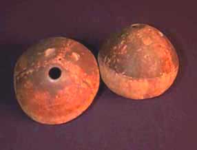 Coconut containers
