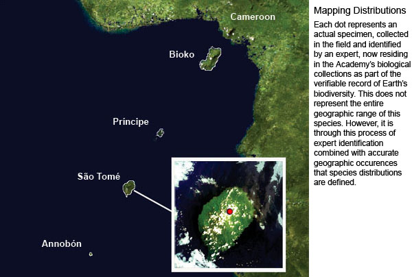 base map