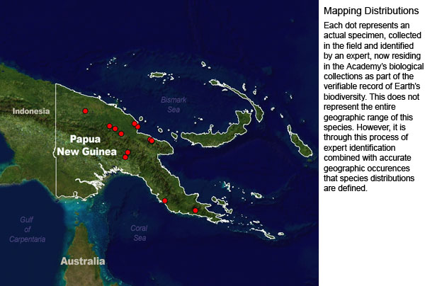 base map