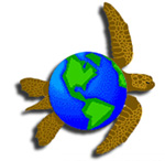 Contemporary Herpetology Logo Size 4 of 4