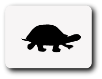 Click here for turtle checklist