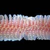 sea pen