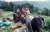 Nepali Children