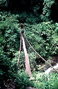 Arun Suspension Bridge