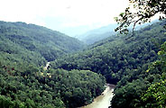 Arun River Tributary